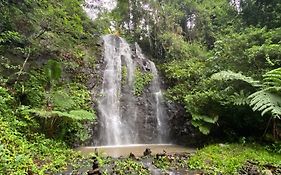 Nimbin Waterfall Retreat